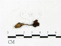 登錄號:F0022867藏品圖，第1張