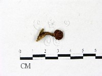 登錄號:F0022868藏品圖，第1張