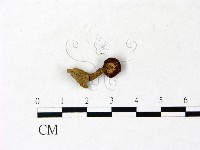 登錄號:F0022868藏品圖，第3張
