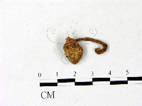登錄號:F0022871藏品圖，第1張