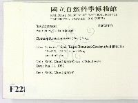 登錄號:F0022873藏品圖，第2張