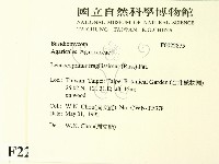登錄號:F0022875藏品圖，第2張