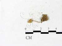 登錄號:F0022876藏品圖，第3張