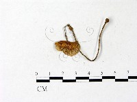 登錄號:F0022877藏品圖，第3張