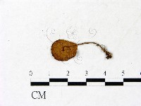 登錄號:F0022880藏品圖，第3張