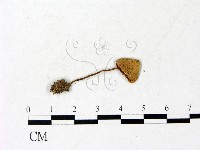 登錄號:F0022881藏品圖，第3張