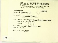 登錄號:F0022882藏品圖，第2張