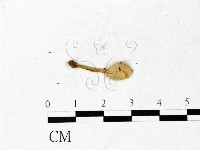 登錄號:F0022883藏品圖，第3張