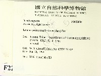 登錄號:F0022884藏品圖，第2張