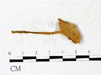 登錄號:F0022884藏品圖，第1張