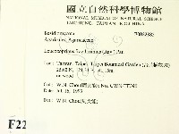 登錄號:F0022885藏品圖，第2張