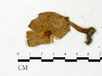 登錄號:F0022885藏品圖，第3張
