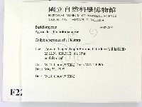 登錄號:F0022891藏品圖，第2張