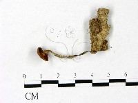 登錄號:F0022892藏品圖，第3張