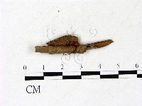 登錄號:F0022893藏品圖，第1張