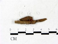 登錄號:F0022893藏品圖，第3張
