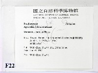 登錄號:F0022894藏品圖，第2張