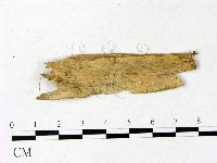 登錄號:F0022894藏品圖，第1張