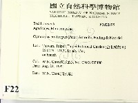 登錄號:F0022895藏品圖，第2張