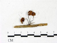 登錄號:F0022895藏品圖，第1張