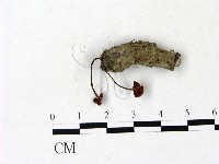 登錄號:F0022899藏品圖，第1張