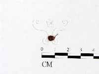 登錄號:F0022900藏品圖，第3張