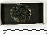 登錄號:F0022901藏品圖，第1張
