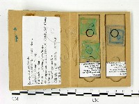 登錄號:F0022901藏品圖，第3張
