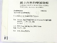 登錄號:F0022902藏品圖，第2張