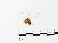 登錄號:F0022902藏品圖，第1張