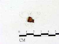 登錄號:F0022902藏品圖，第3張
