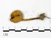 登錄號:F0022904藏品圖，第1張