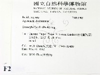 登錄號:F0022905藏品圖，第2張