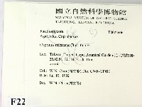 登錄號:F0022906藏品圖，第2張