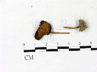 登錄號:F0022906藏品圖，第1張
