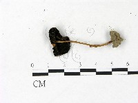 登錄號:F0022906藏品圖，第3張