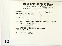 小菇屬藏品圖，第2張