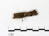 登錄號:F0022908藏品圖，第1張