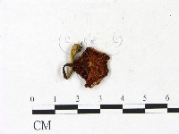 登錄號:F0022910藏品圖，第3張