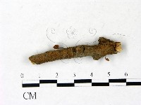 登錄號:F0022913藏品圖，第1張