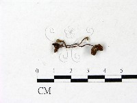 登錄號:F0022914藏品圖，第3張