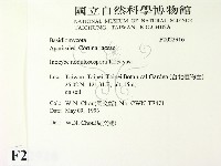 登錄號:F0022916藏品圖，第2張