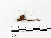 登錄號:F0022916藏品圖，第1張