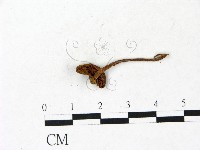 登錄號:F0022916藏品圖，第3張
