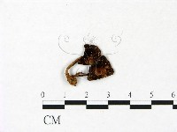 登錄號:F0022918藏品圖，第1張