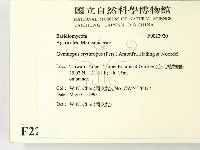 登錄號:F0022920藏品圖，第2張