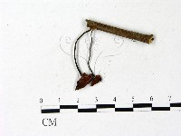 登錄號:F0022920藏品圖，第1張