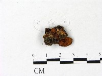 登錄號:F0022923藏品圖，第1張