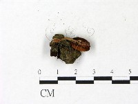 登錄號:F0022923藏品圖，第3張