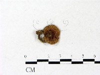 登錄號:F0022925藏品圖，第1張
